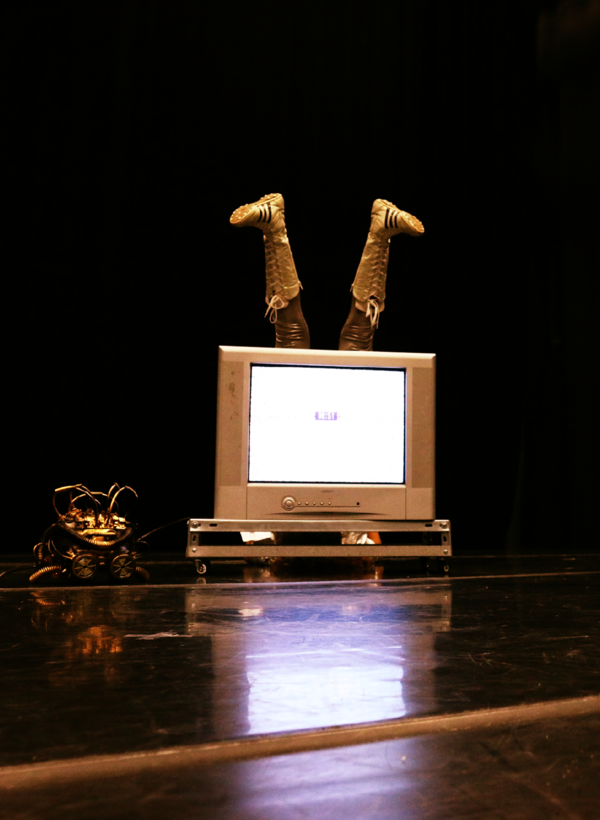 A POSSE E O DESAPEGO