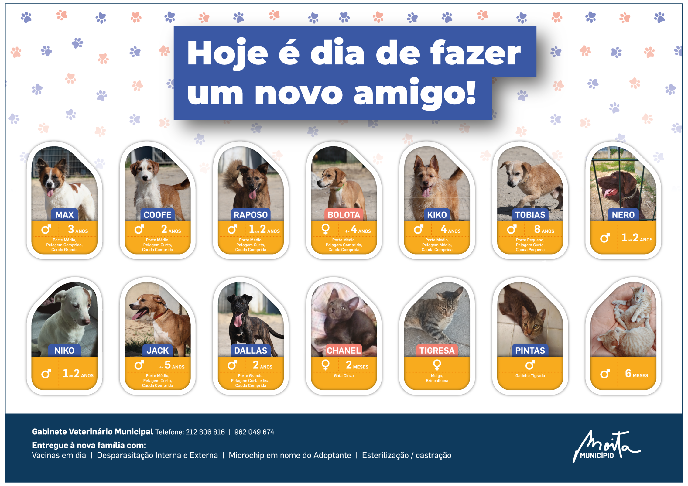 POSTERCAMPANHA ADOCAO-fimnovembro