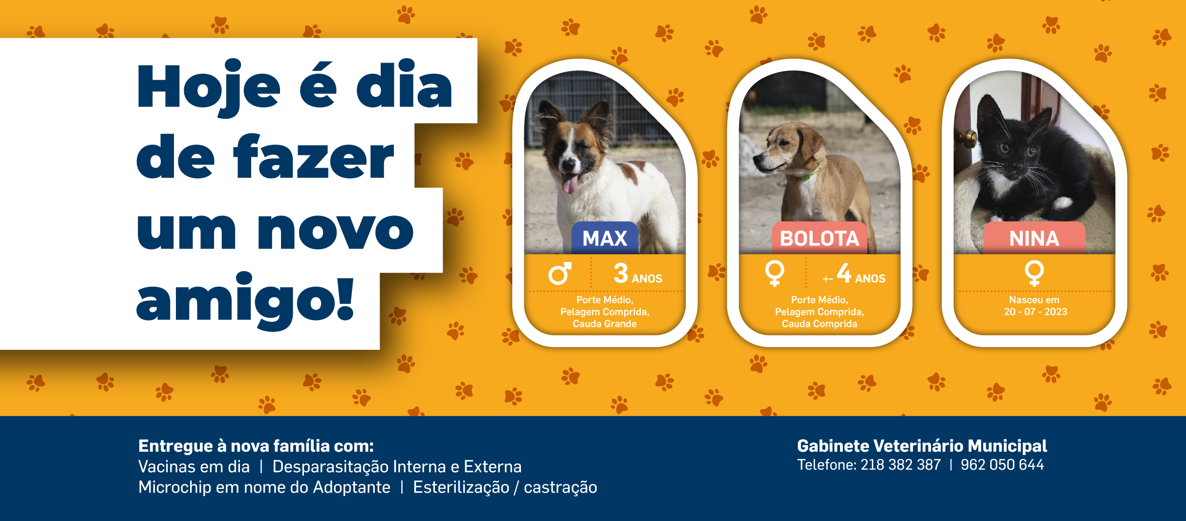 BANNER_face_campanha_hoje-1005