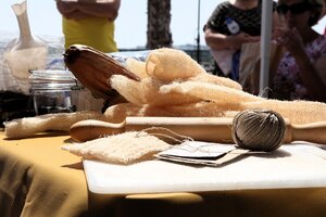 img_4370_1_2500_2500