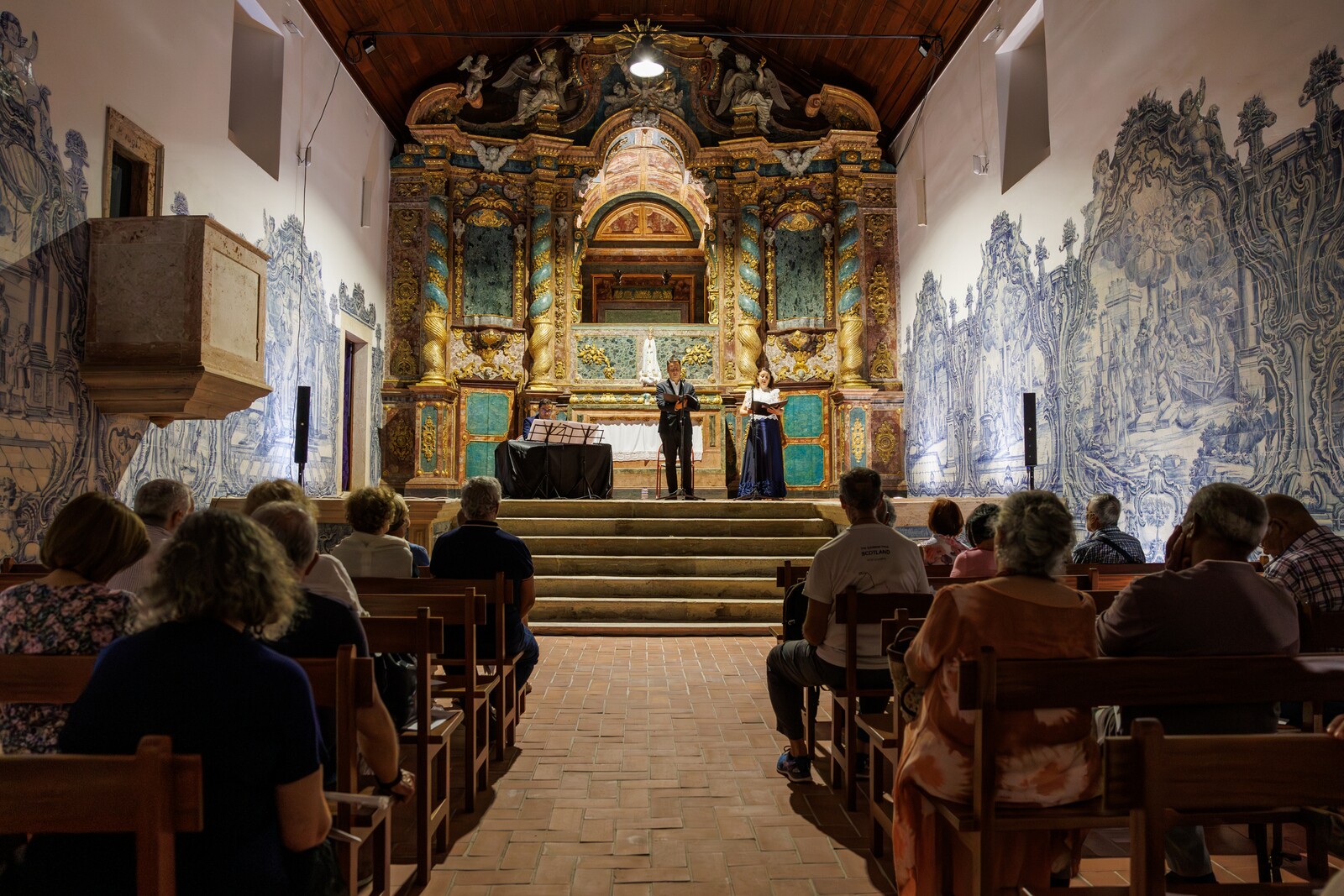 HU6A1133-Aprimorado-NR