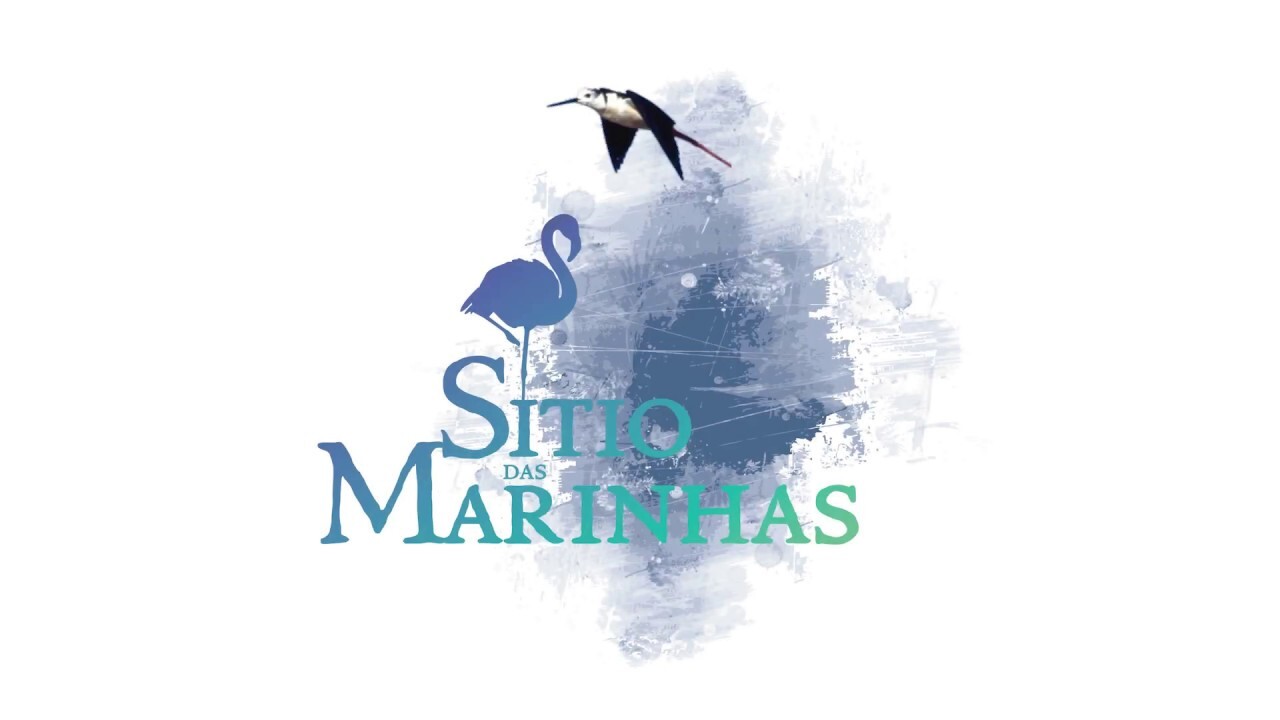 sitio logo