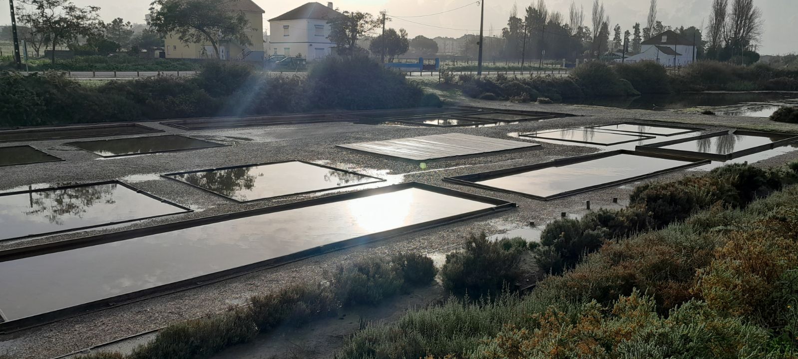 3-Geral-Salina ao nascer do sol (Jos&eacute; Castelo)