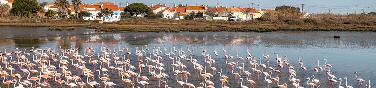 sitecmmoita-oquevisitar