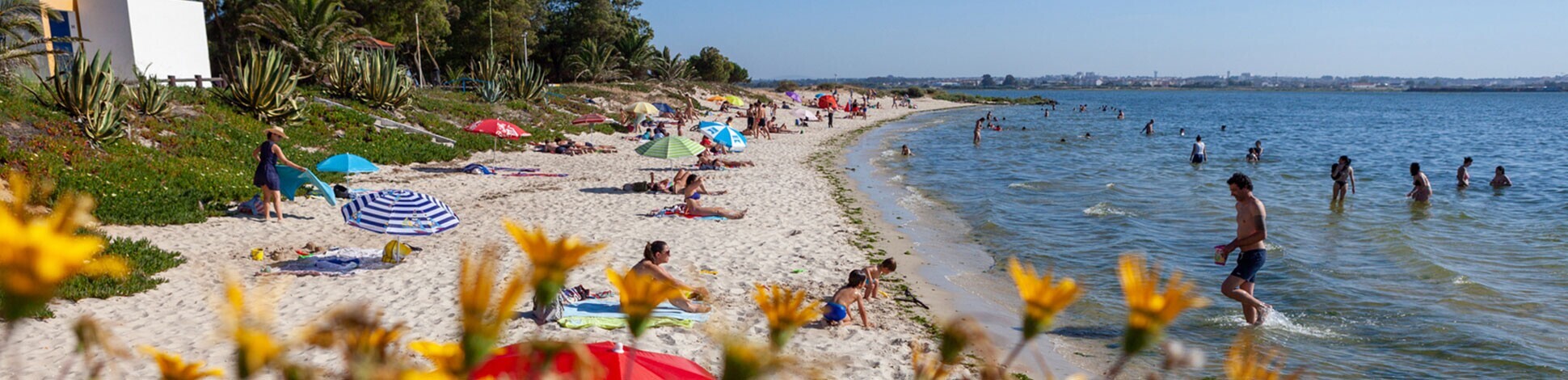 sitecmmoita-patrimonio