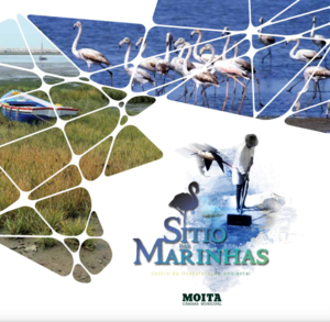 captura_de_ecra_2023_06_27_110333_1_300_300