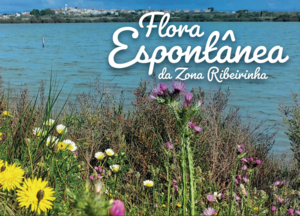 captura_de_ecra_2024_02_02_130008_1_300_300